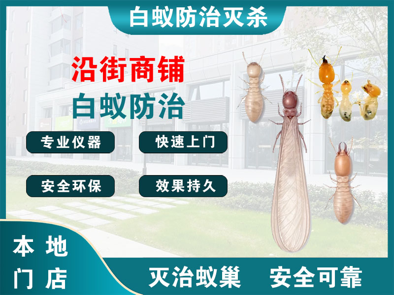 靖江沿街商铺白蚁防治