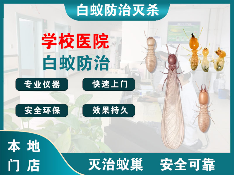 靖江学校医院白蚁防治