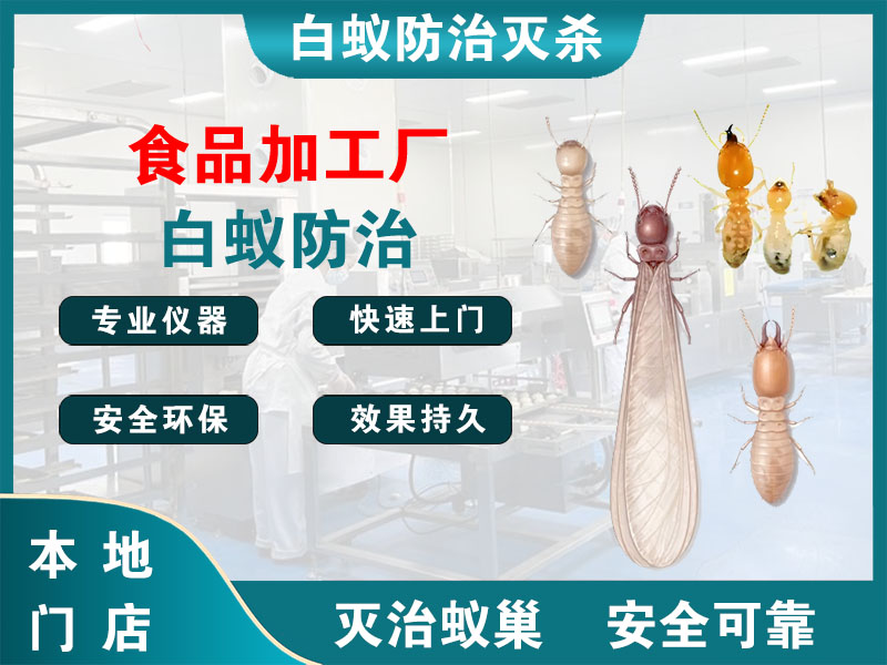 靖江食品加工厂白蚁防治