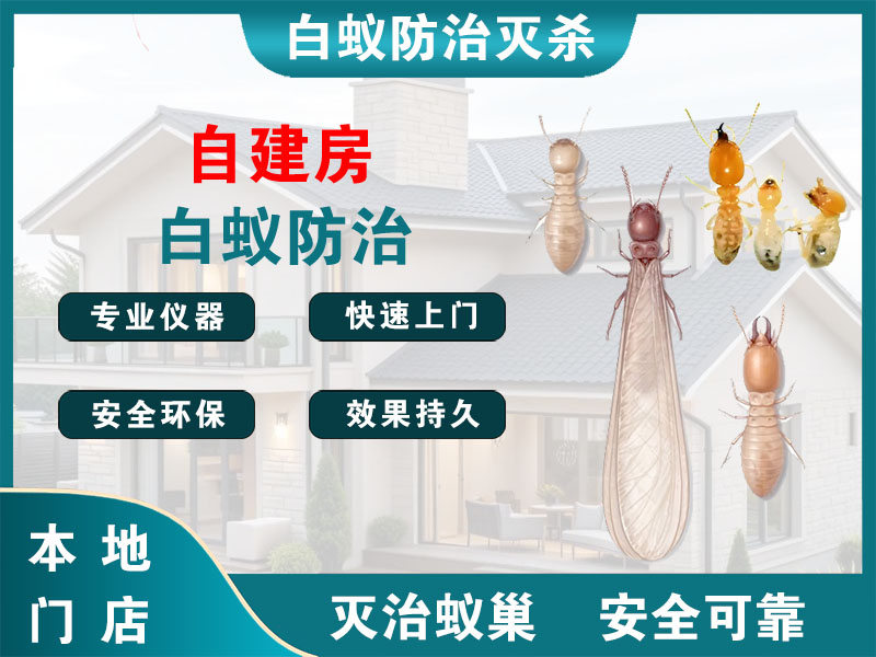 靖江自建房白蚁防治