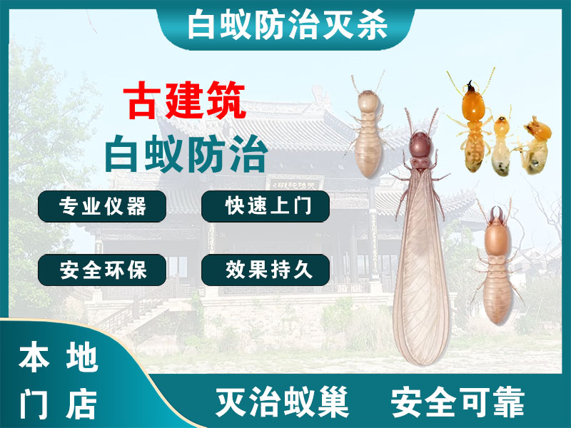 靖江古建筑白蚁防治