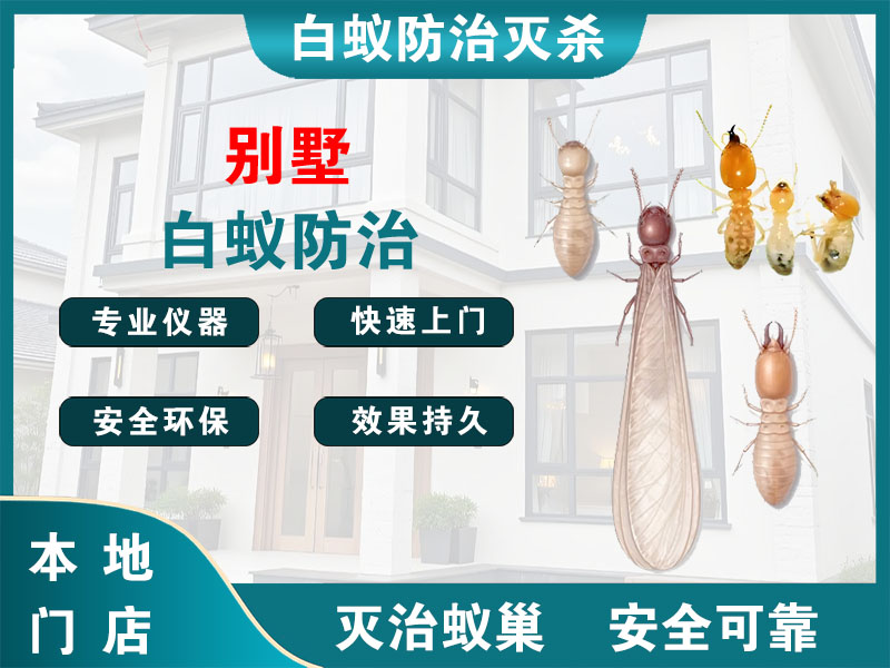 靖江别墅白蚁防治