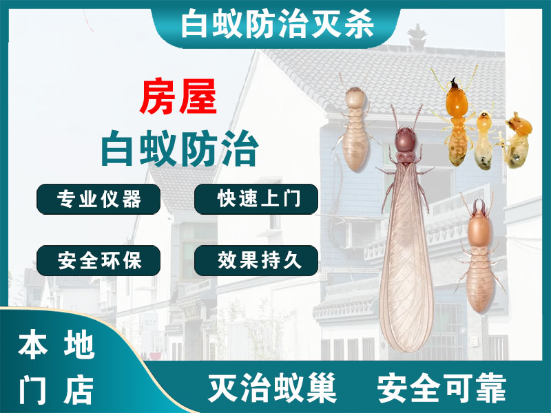 靖江房屋白蚁防治